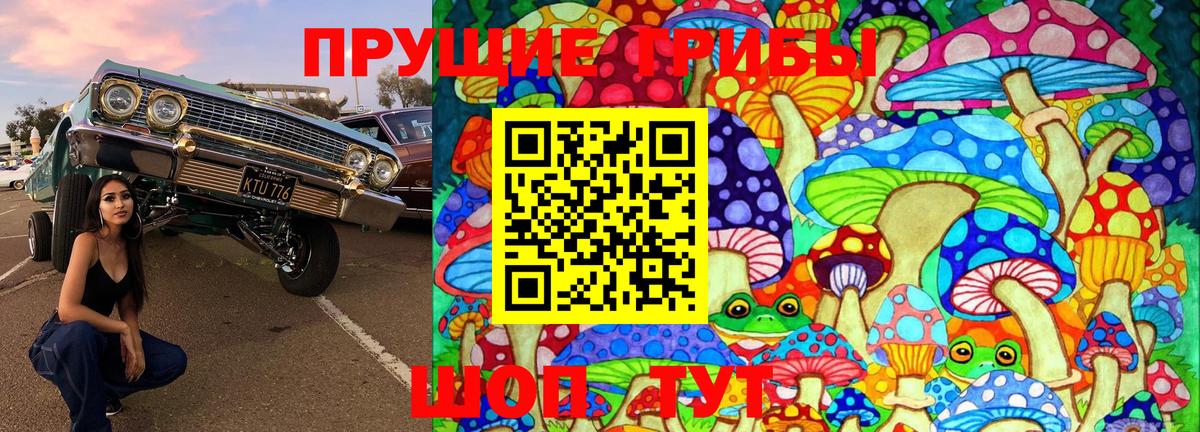 Королёв  Псилоцибиновые грибы Magic Shrooms  Вход с VPN 